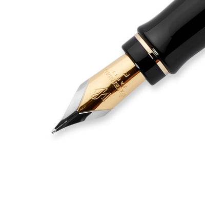 Waterman Charleston Ebony Black GT Fountain Pen M – The Pen Shop