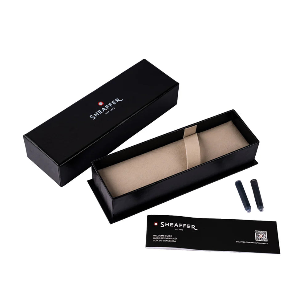 Sheaffer VFM Matte Fountain Pen