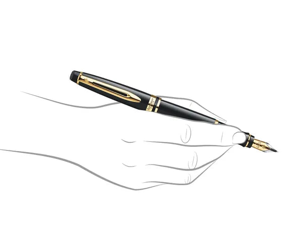Waterman Expert Black Lacque Fountain Pen